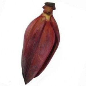 BANANA FLOWER
